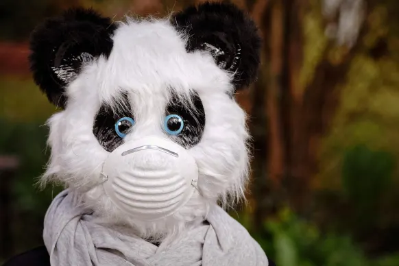 エスティーエーワイ カジノ サポート